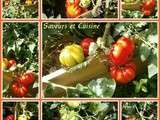 Tomates du jardin