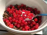 Groseilles gourmandes au Petit Déjeuner