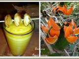 Smoothie Banane Mangue Pomme & Limon