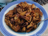 Tofu émincé Version Gyros