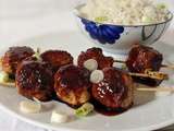 Brochettes Yakitori