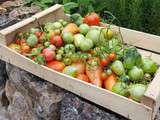 Chutney de Tomates Vertes