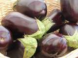 Pleins feux sur l’aubergine