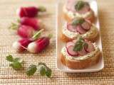 Tartines au fromage frais et radis roses