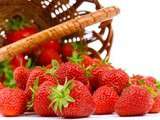 Tout savoir sur les fraises