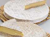 Brie de Meaux