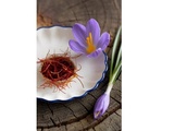 Secrets gourmands autour du safran oublié : l’or rouge des chefs