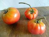 Tomates, la pomme d’amour