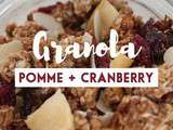 Granola pomme cranberry hivernal