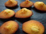 Madeleines