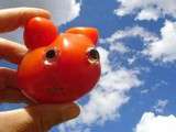 Ketchup épicé et un peu fumé de ma maman