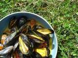 Moules aux épices