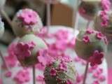 Pop cakes