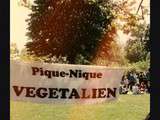 Samossas vegan pour un pique nique végétalien