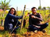 Vigne et gourmandises – escale beaujolaise – recette du gâteau « grand-mère » lyonnais