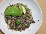 Salade lentilles quinoa