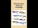 Vidéo : Poissons d’eau douce du Cambodge