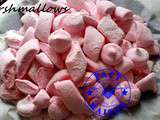 Marshmallows ( au Thermomix )