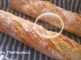 Pain ou Baguettes au Thermomix