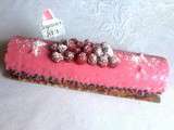 Bûche framboise et chocolat