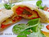 Calzone aux poivrons / tomates / mozzarella