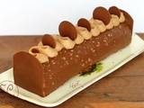 Bûche de savoie chocolat citron praliné