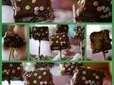 Cake pops express