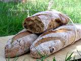 Baguettes de campagne chicoree noisettes