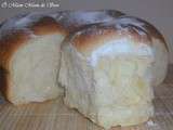 Buchty ( brioche allemande)