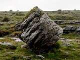 Quatrième carnet de voyage en Irlande : petite excursion dans le Burren