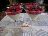 Panna cotta aux fruits rouges et chocolat blanc - Recette en vidéo