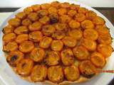 Tarte fine aux abricots