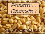 Resultat du concours pirouette cacahuete