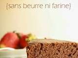 Gâteau au chocolat {sans beurre ni farine}