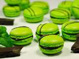 Macarons menthe / chocolat