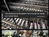 Pourquoi vegan