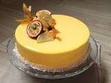 Passionnément exotique (entremets mousse vanille passion, brunoise d’ananas et gelée de mangue)