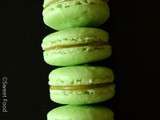 Macaron à la pomme verte