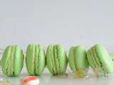 Macaron aux Arlequin