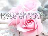 Tutoriel : Comment faire une petite rose en sucre (Vidéo)