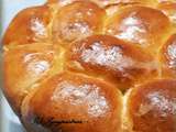 Brioche Buchty