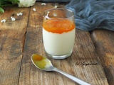 Panna Cotta Mangue Passion