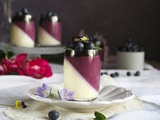 Panna Cotta Vanille Myrtille