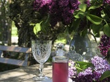 Sirop de Lilas