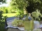 Sirop de Sureau