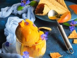 Sorbet Mangue