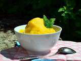 Sorbet à la Mangue