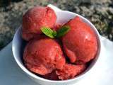 Sorbet Fraise Rhubarbe