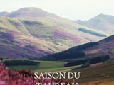 Saison du Taureau : l’art de s’enraciner en astrologie