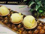 Sorbet ananas homemade